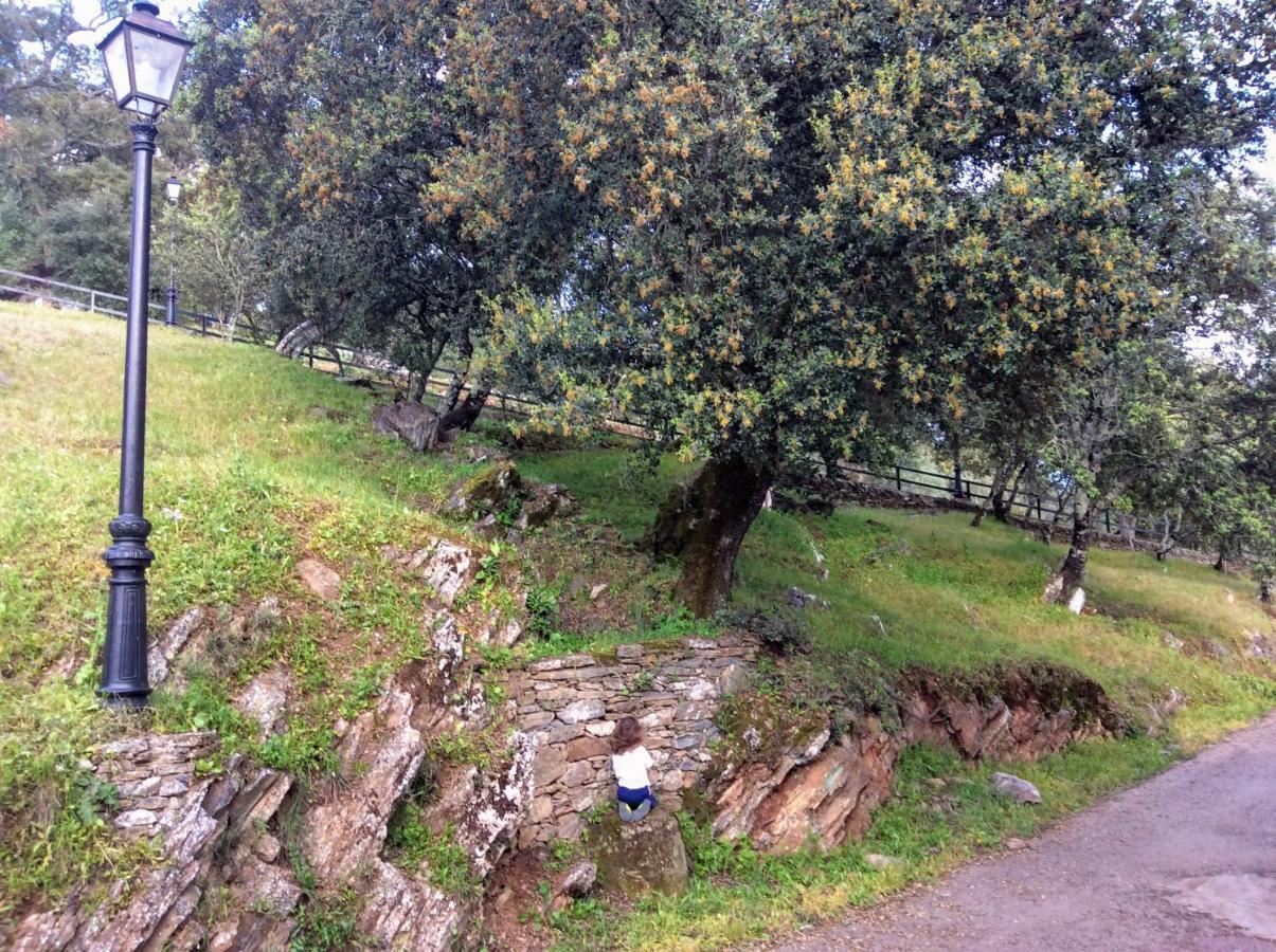 Casa Mandarina Aracena Βίλα Εξωτερικό φωτογραφία